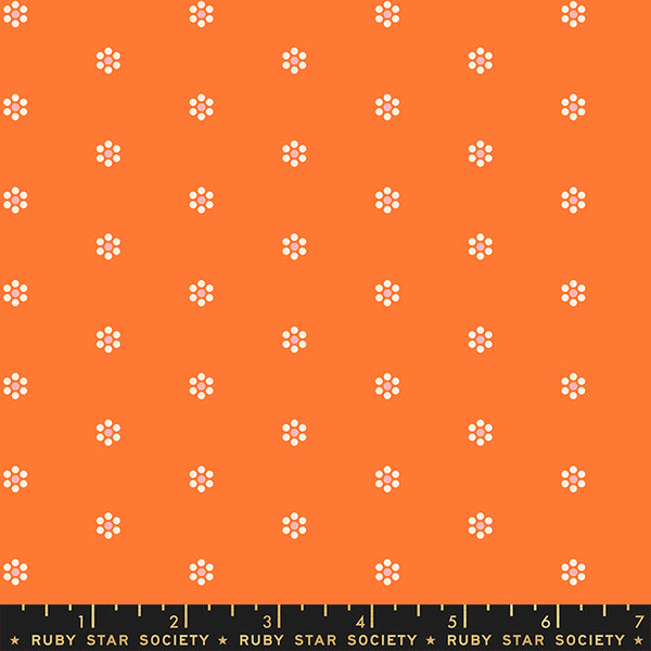 Rise and Shine: Tiny Blooms in Orange