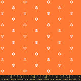 Rise and Shine: Tiny Blooms in Orange