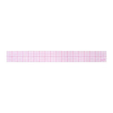 Graph Ruler 2" x 18"