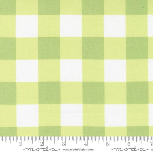 Sunwashed: Gingham in Citron