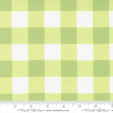 Sunwashed: Gingham in Citron