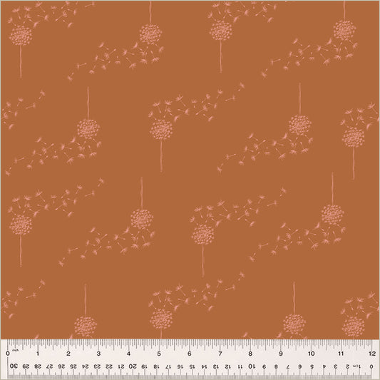 Moonlit: Wish in Pumpkin