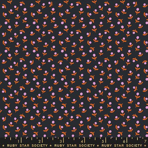 Meadow Star: Sprout in Soft Black
