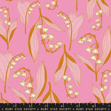 Verbena: Lily Valley in Daisy