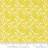 Raspberry Summer: Blossom in Summer