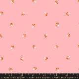 Carousel: Tiny Mushrooms in Balmy