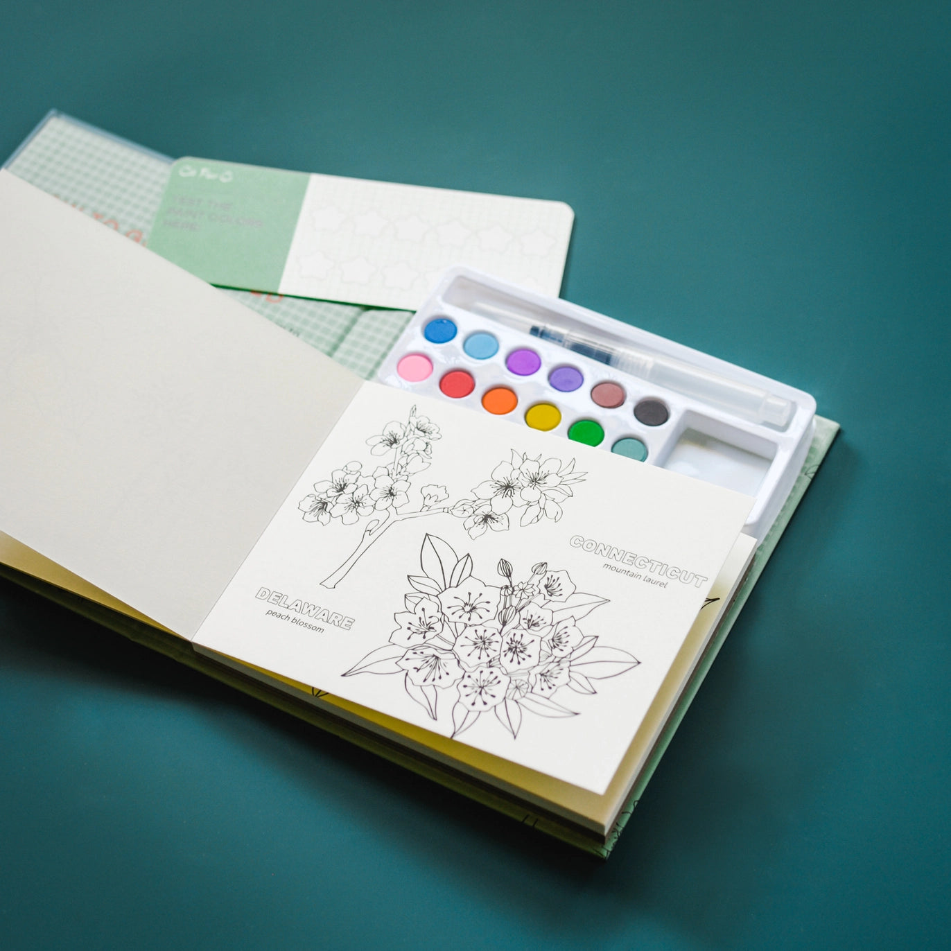 Watercolor Painting Book- State Flowers