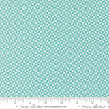 Delightfully Yours: Pinwheel in Poolside