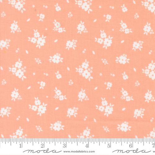Pastel Prairie: Bloomers in Jovial