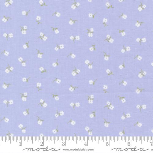 Pastel Prairie: Small Floral in Mist