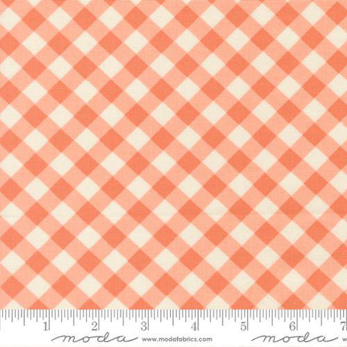 Pastel Prairie: Gingham in Coral