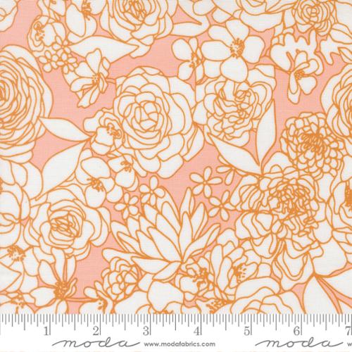 True to Hue: Hidden Facet in Blush