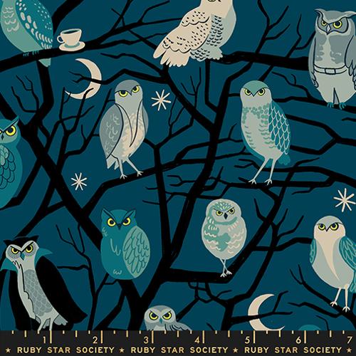 Freaky Familiars: Novelty Owls in Galaxy