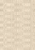Teddy Bear's Picnic: Basket Weave in Cream