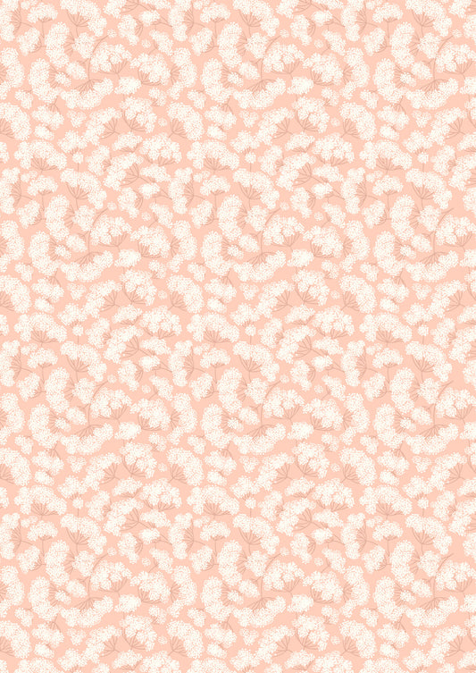 Honey Sweet: Cow Parsley in Peach Blush