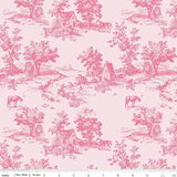 Bluegrass Charm: Toile Pink