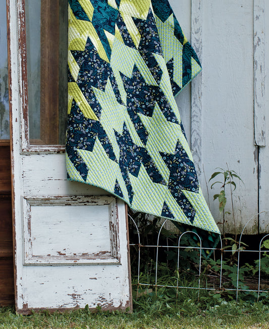 Quilts from the House of Tula Pink