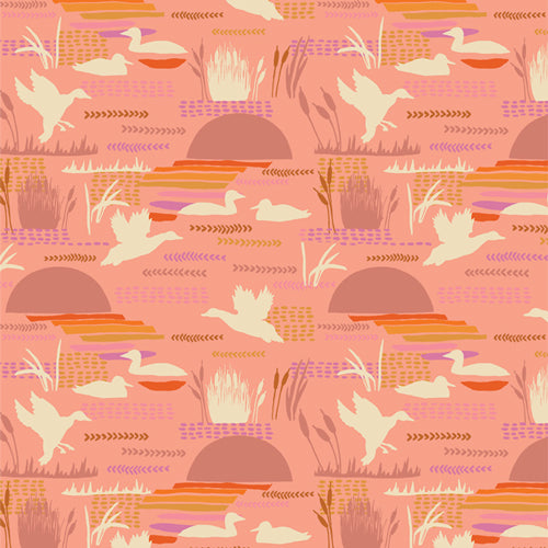 Lake Life: Shorebird