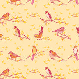 Marigold: The Dawn Chorus in Sunset