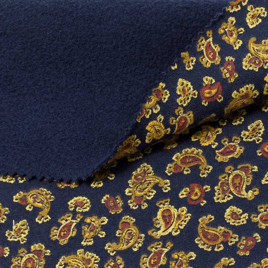 Printed Fleece in Paisley