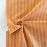 Sun Stripes in Desert Clay