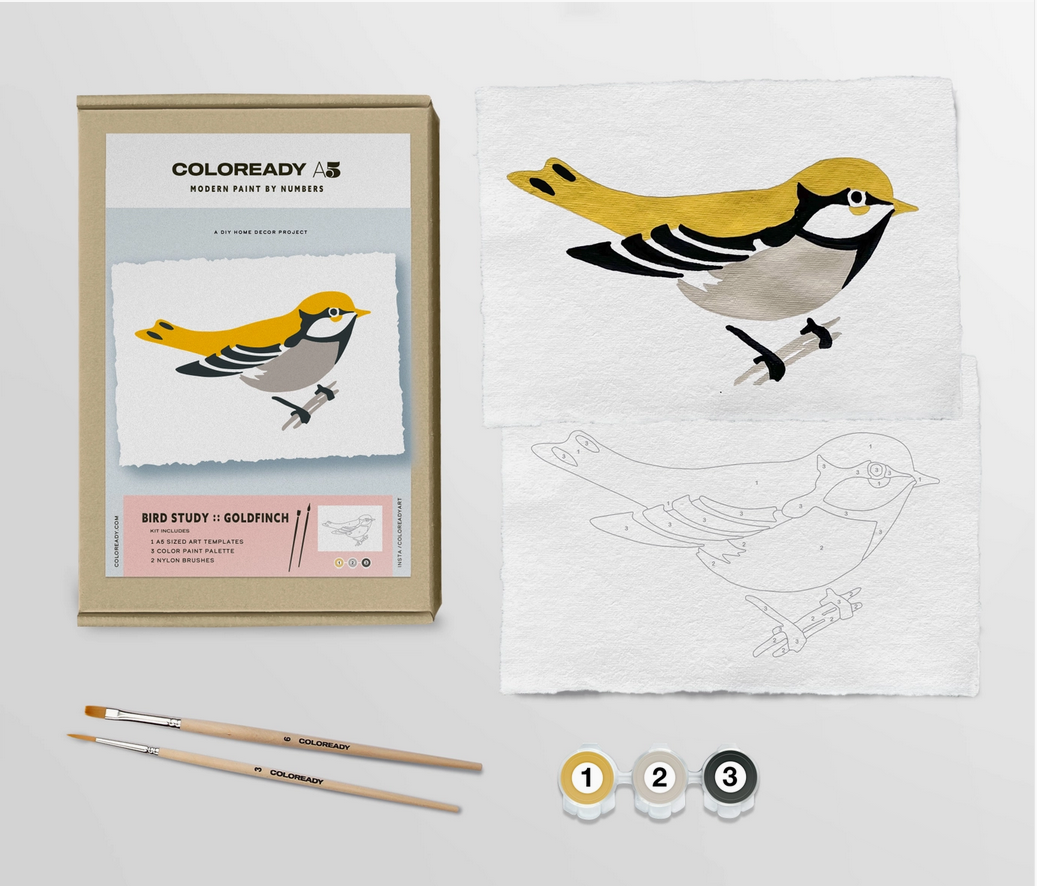Modern Paint by Numbers Kit: Goldfinch