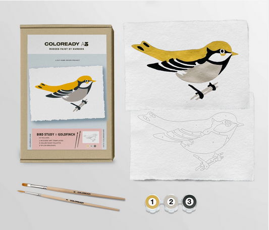 Modern Paint by Numbers Kit: Goldfinch