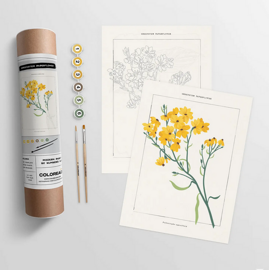 Modern Paint by Numbers Kit: Greenstem Paperflower