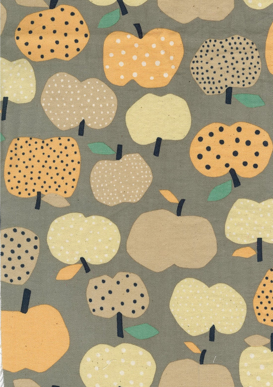 Cotton Oxford: Nordic Girl Apples in Gray