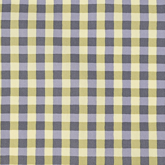 Linnea Basic Cotton Oxford: Gingham in Periwinkle/Citron