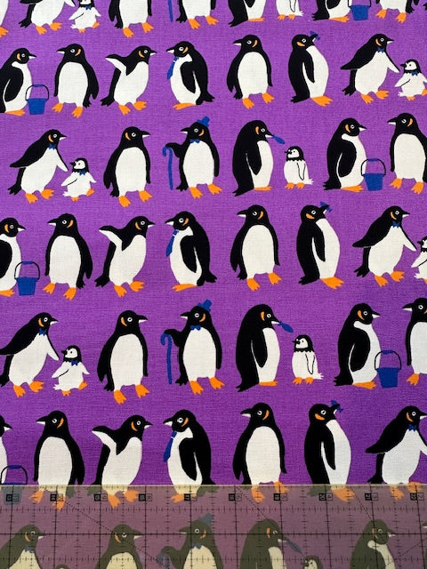 Cotton Oxford in Penguins