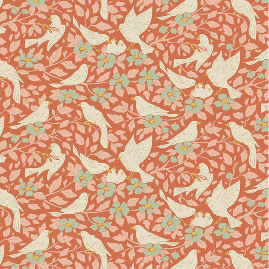 Songbird: Ava in Coral