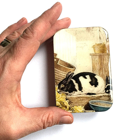 Rabbit Notions Tin
