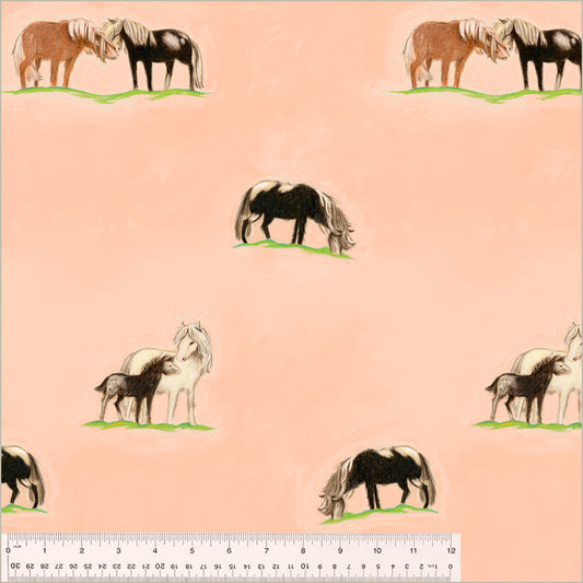 By Hand: Ponies Canvas