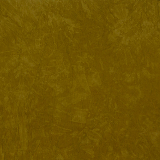 Desert Garden: Sepia