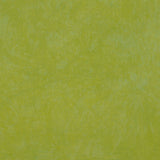Desert Garden: Moss