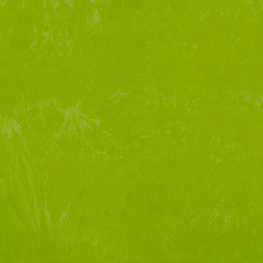 Crayon Box: Lime