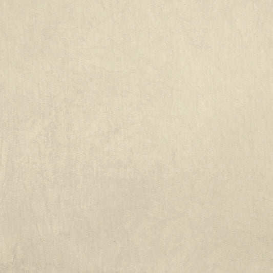 Desert Garden: Cactus