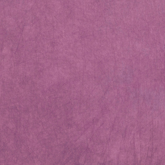 Desert Garden: Mulberry