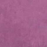 Desert Garden: Mulberry