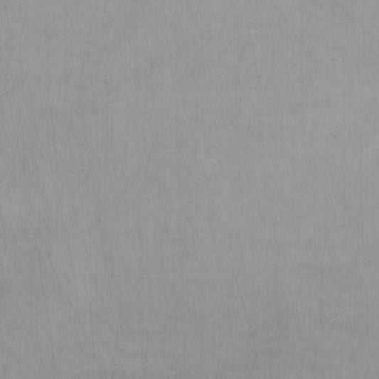 Desert Garden: Elephant