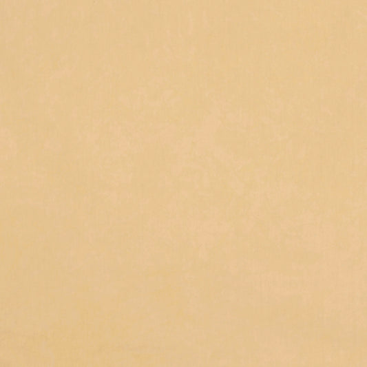 Desert Garden: Sheepskin