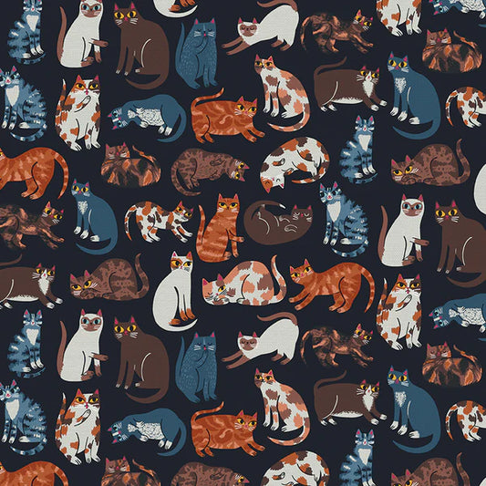 Cat's Meow: Cat Friends in Black