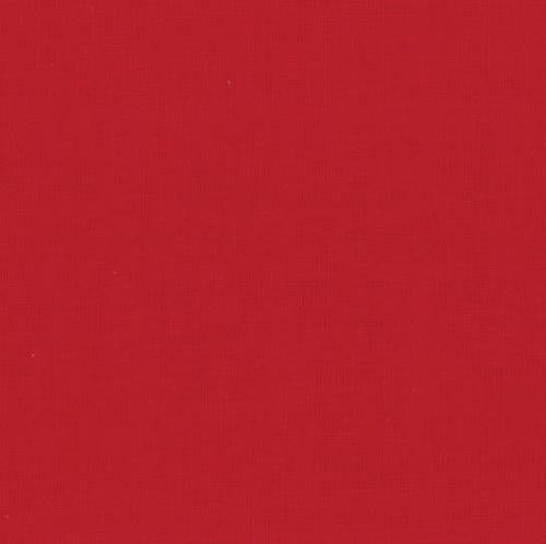 Moda Bias Quilt Binding By the Yard