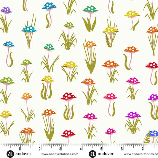 Color Wheel: Mushroom Parade in Day