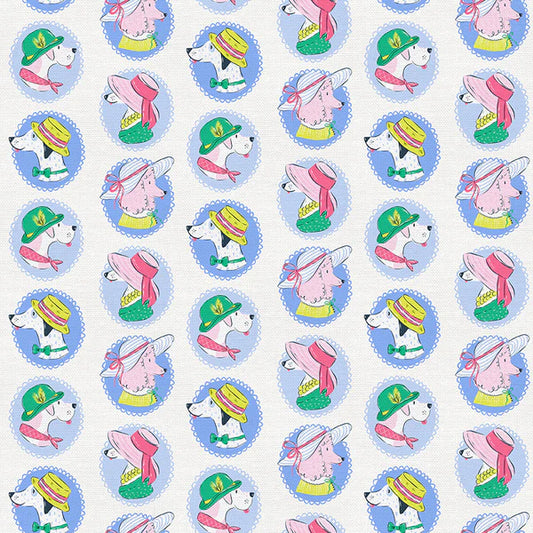 Country Club Canines in Derby Dogs