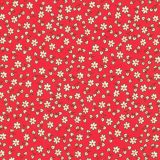 Fabric Market: Doodle Flowers in Camellia