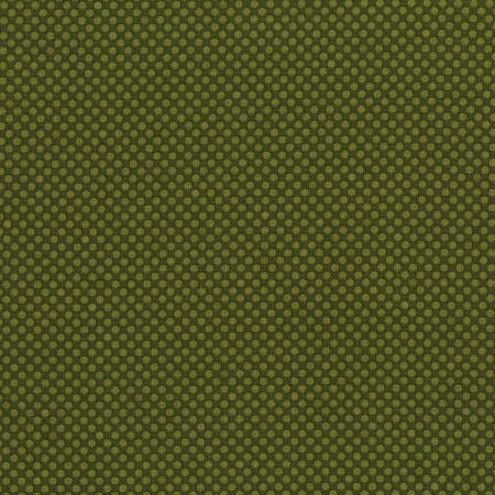 Dot Com: Dark Olive