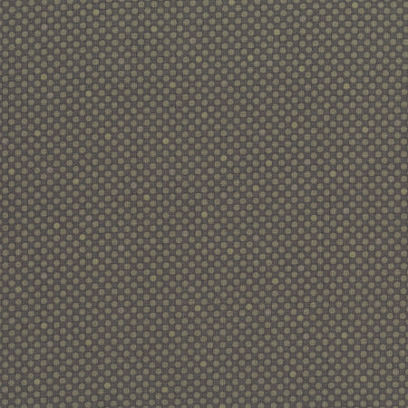 Dot Com: Shadow