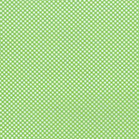 Dot Com: Spring Leaf
